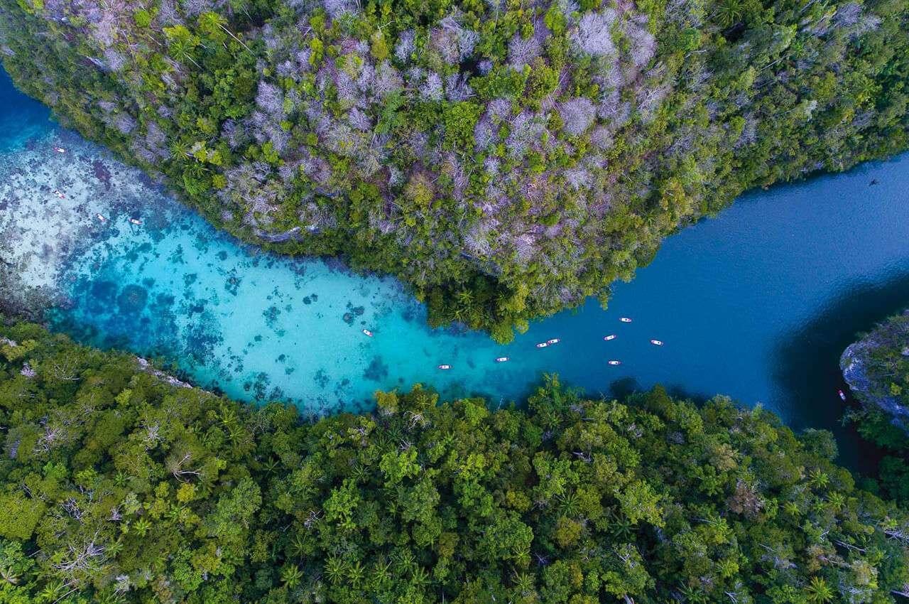 a coral reef with fish aboard MERIDIAN ADVENTURE - RAJA AMPAT Yacht for Charter