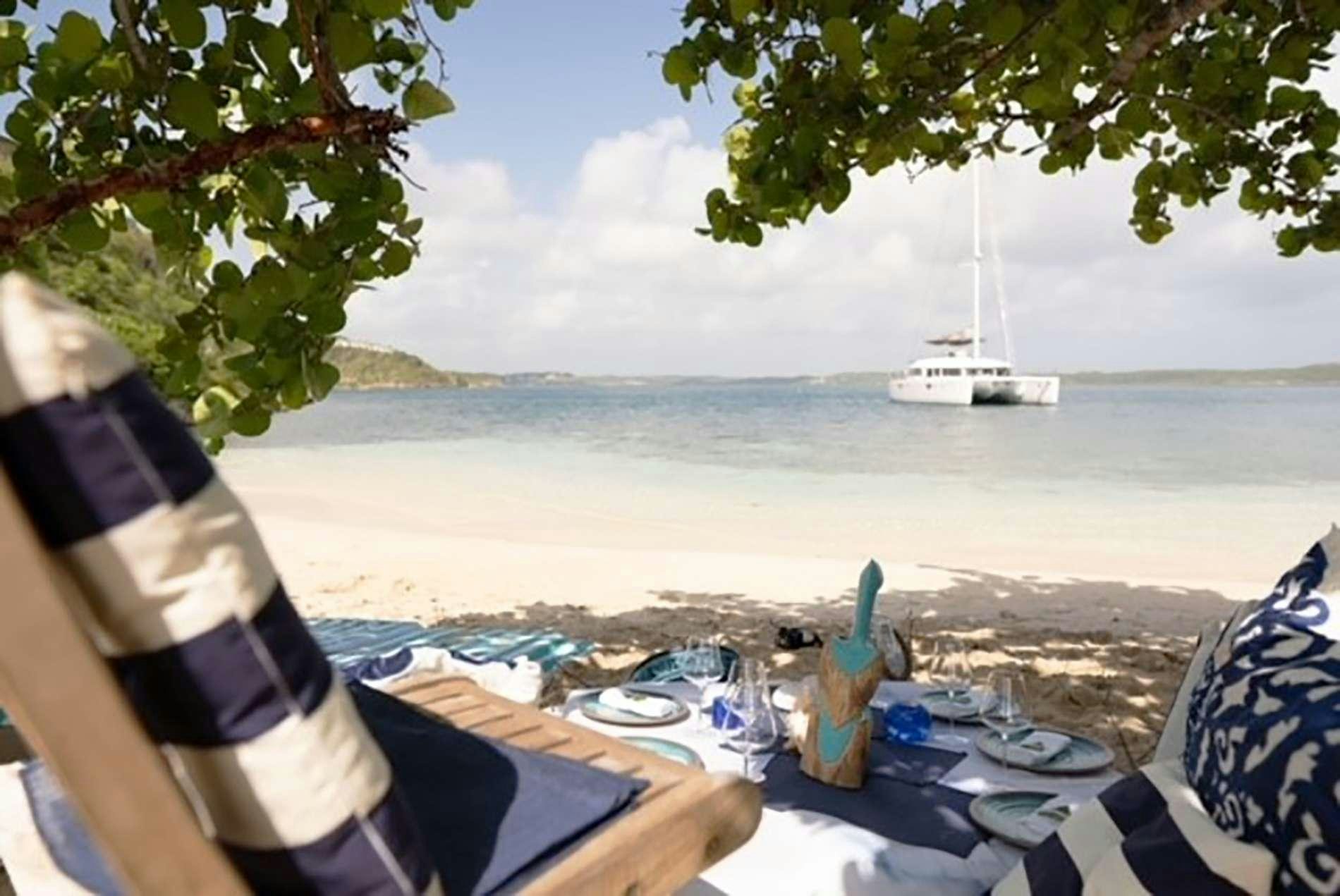 a person sitting on a beach with a cat and a toy dinosaur aboard THE RECIPE Yacht for Charter