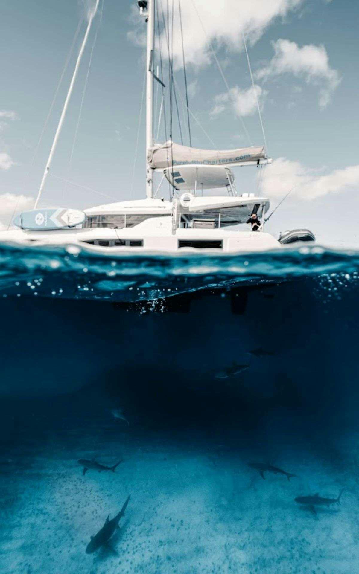 a boat in the water aboard Purely Blu Yacht for Charter