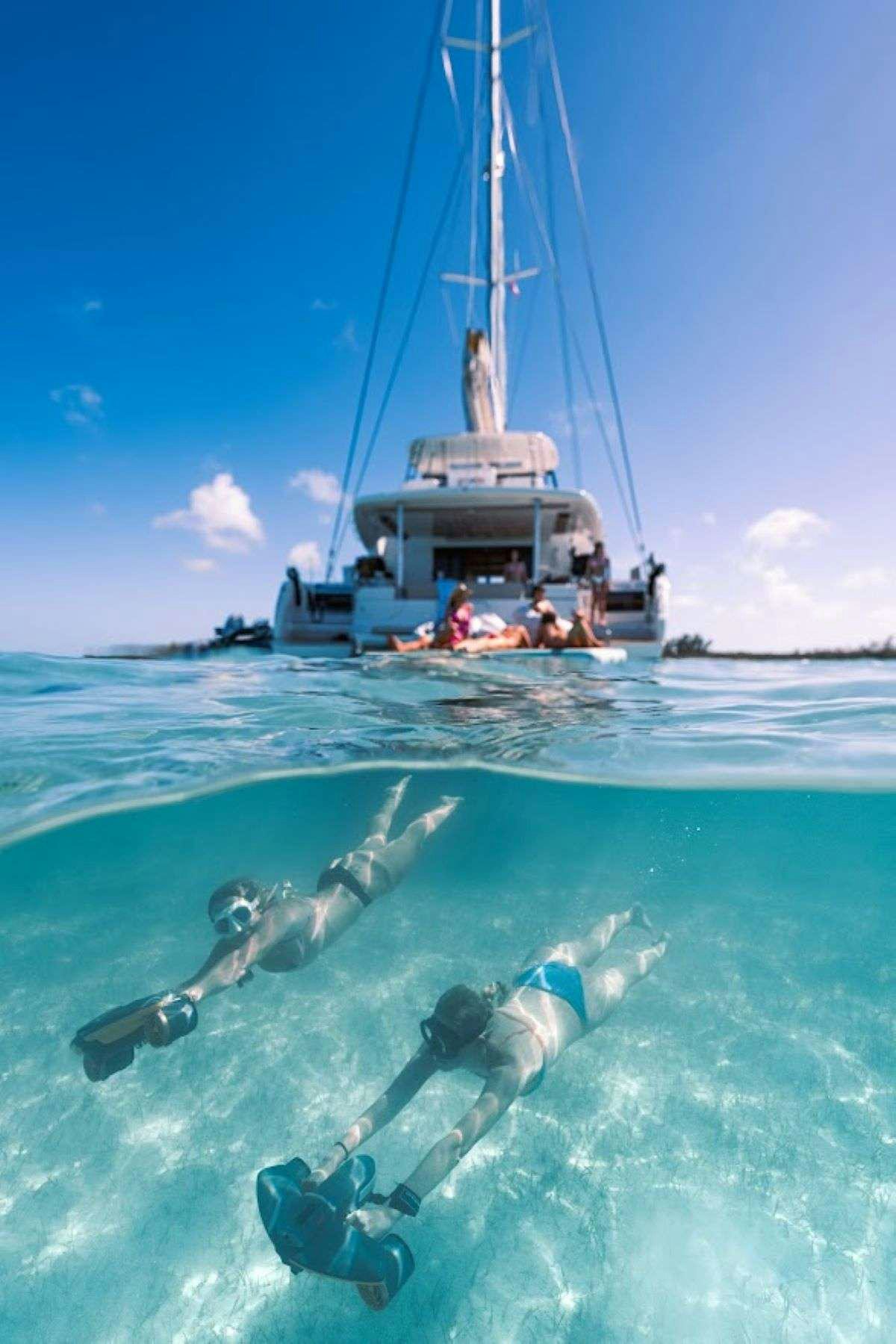 a whale swimming in the ocean with a boat in the background aboard Purely Blu Yacht for Charter