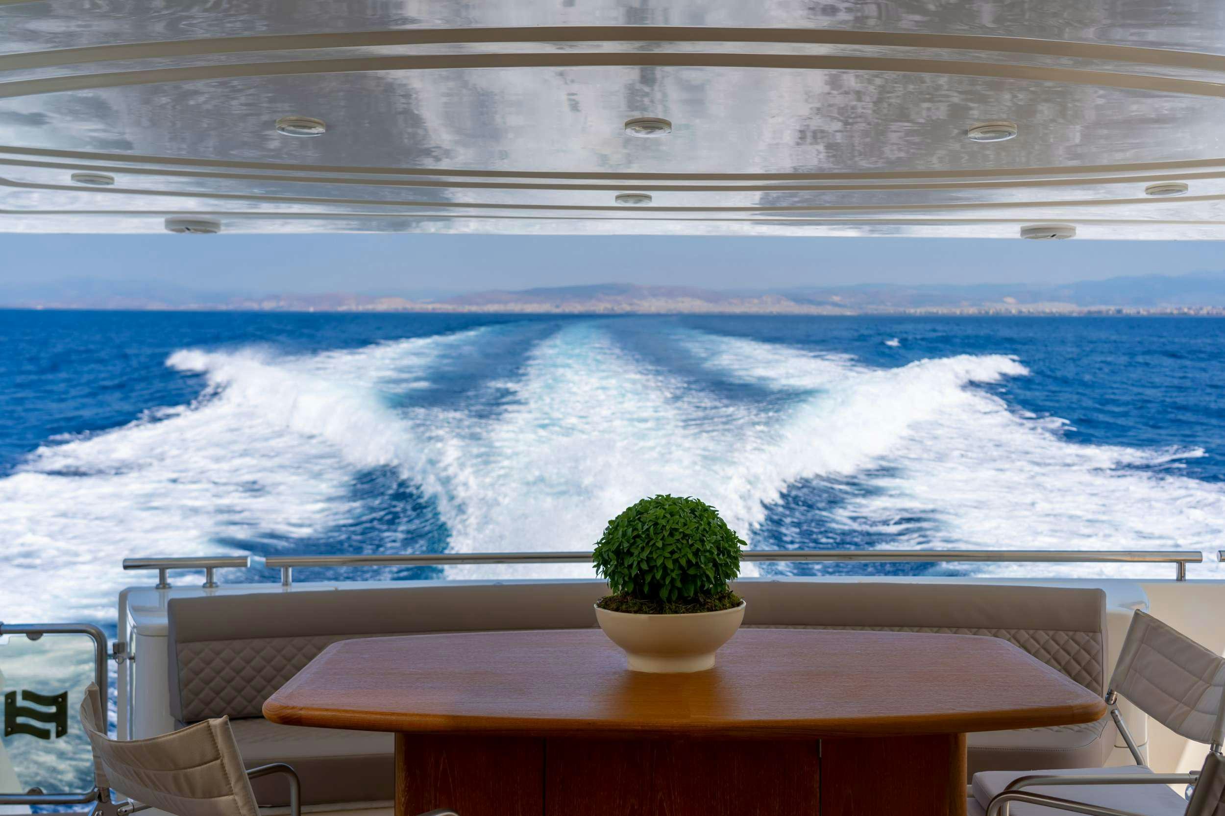 a potted plant on a table aboard SOFIA D Yacht for Charter