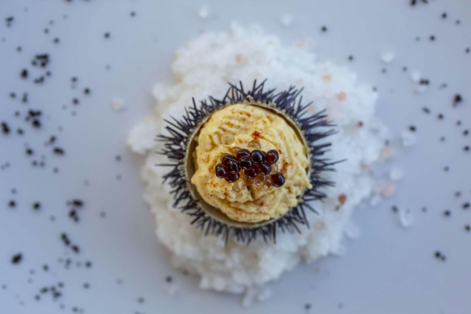 a round brown object with a red center on a white surface aboard M/Y ANTHEA Yacht for Charter