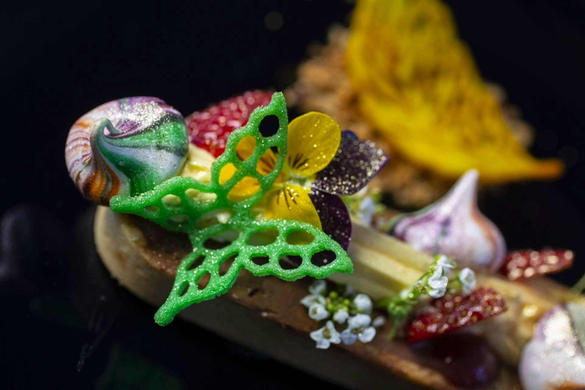 a couple of frogs on a rock aboard M/Y ANTHEA Yacht for Charter