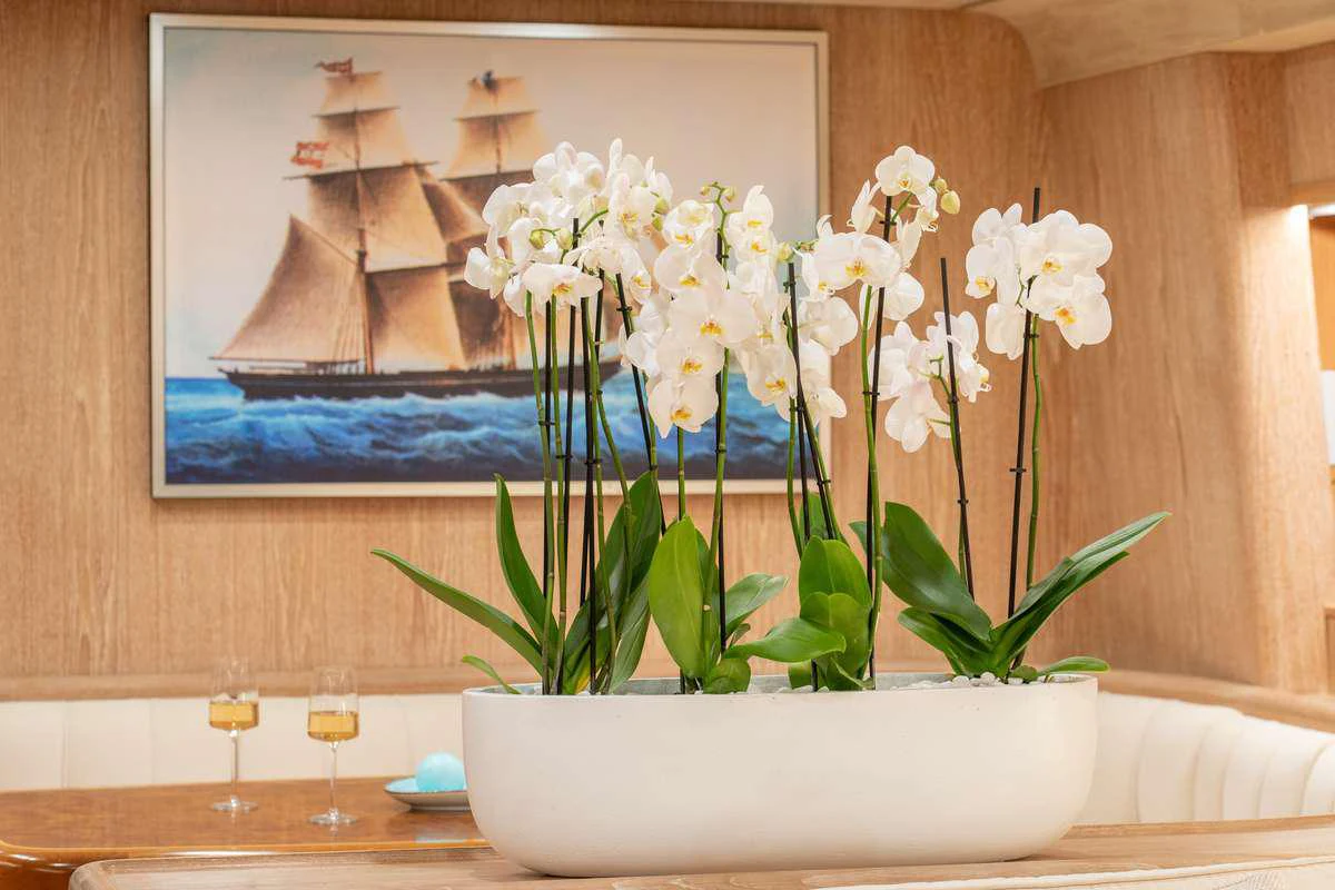 a white bowl with white flowers in it aboard OPERA Yacht for Charter