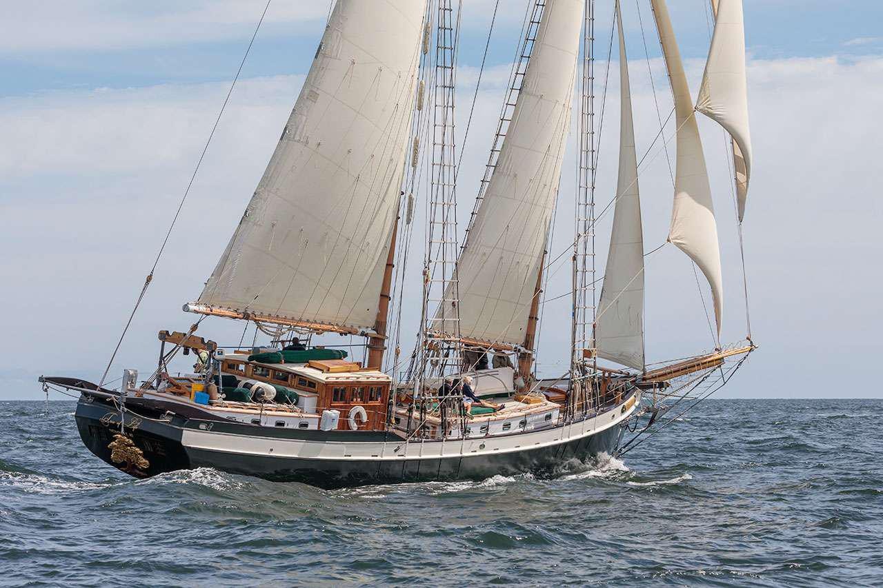 a sailboat on the water aboard TREE OF LIFE Yacht for Charter