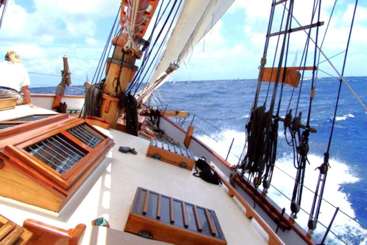 a boat with a large sail aboard TREE OF LIFE Yacht for Charter