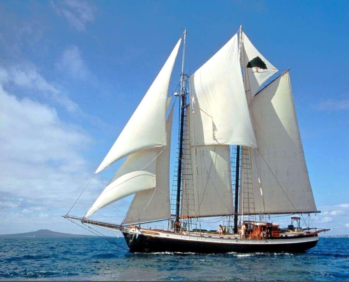 a sailboat on the water aboard TREE OF LIFE Yacht for Charter