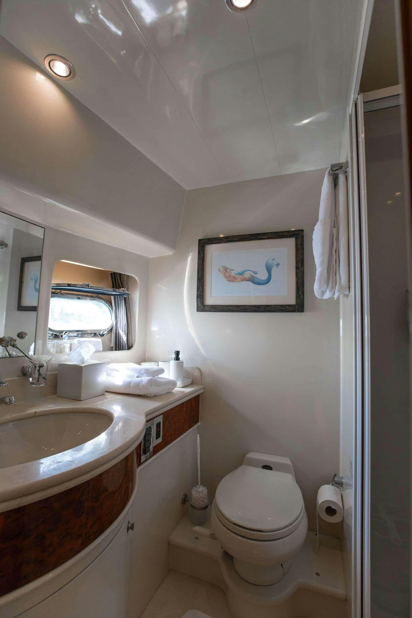 a bathroom with a sink toilet and a mirror aboard THE USUAL Yacht for Charter