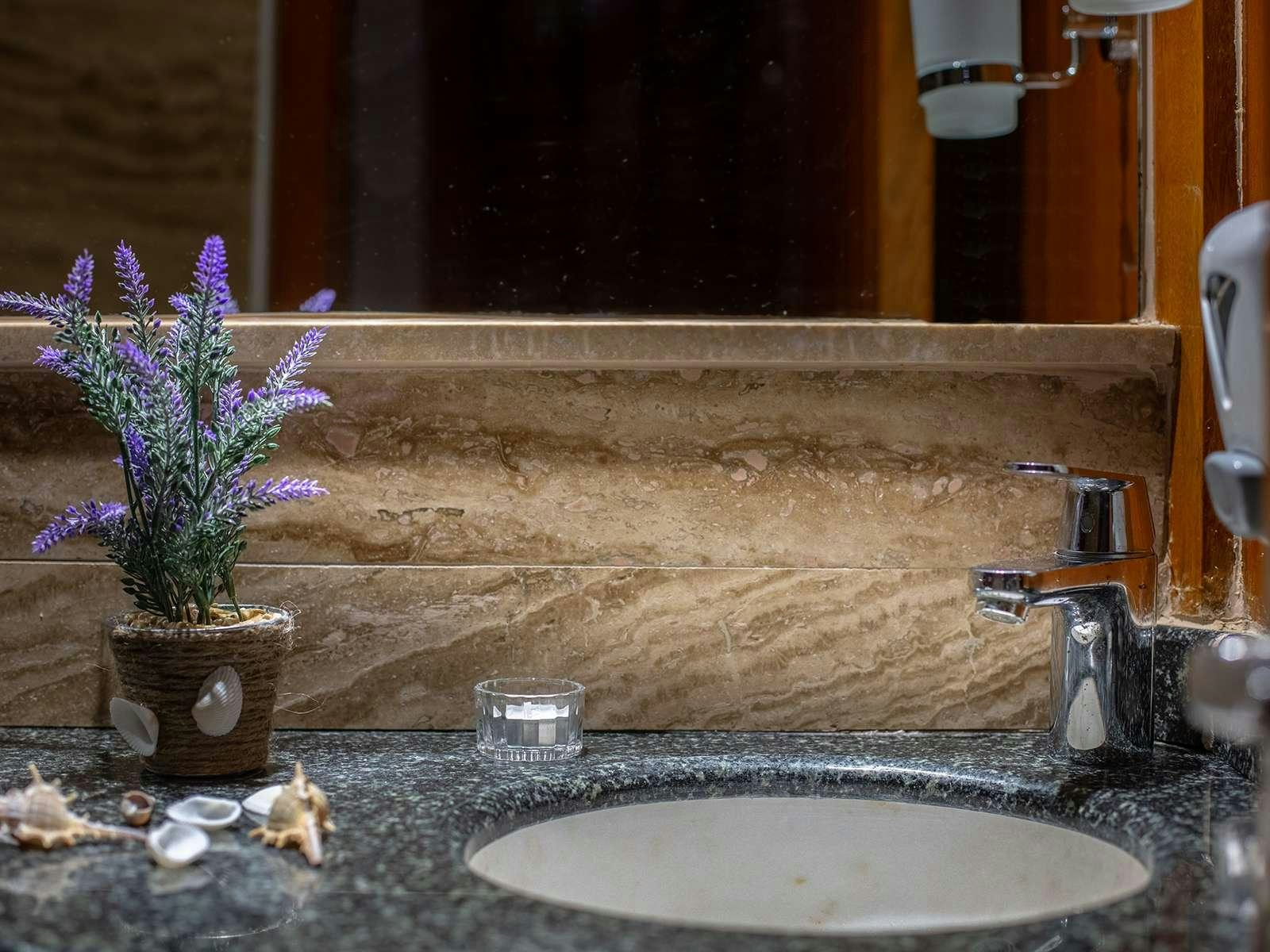 a bathroom sink with a plant in a pot on the counter aboard ELEGANZA Yacht for Charter