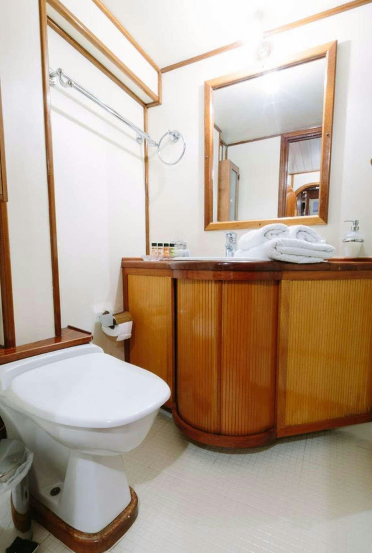 a bathroom with a toilet and a mirror aboard SIR WINSTON CHURCHILL Yacht for Charter