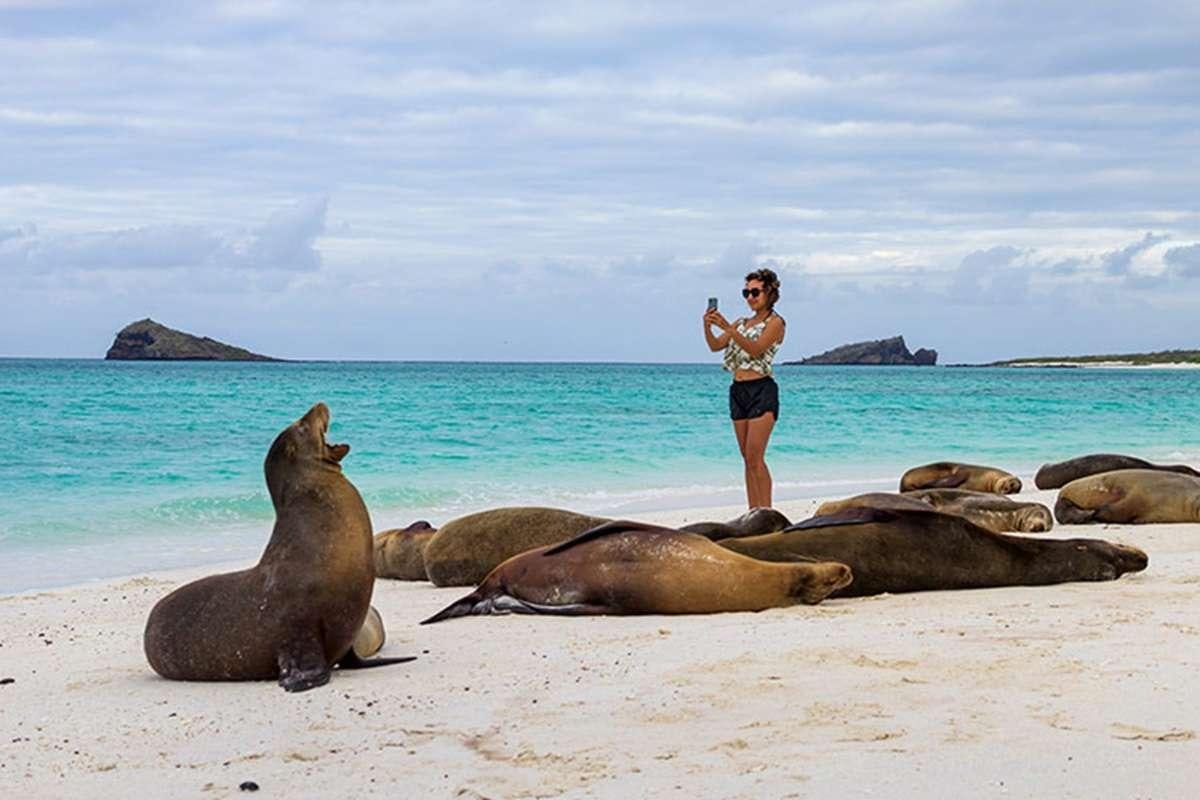 a person standing next to a group of camels on a beach aboard GALAPAGOS ANGEL Yacht for Charter