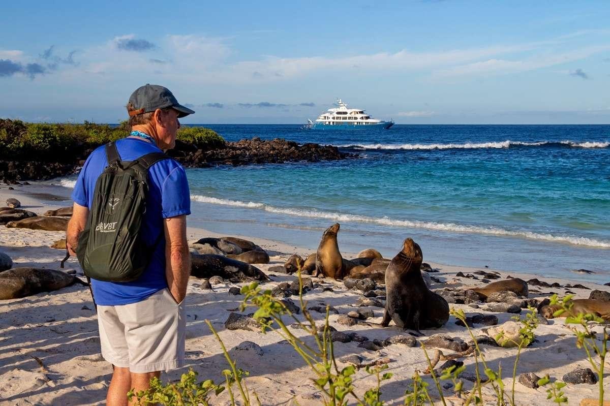 a person looking at a sea lion aboard GALAPAGOS ANGEL Yacht for Charter