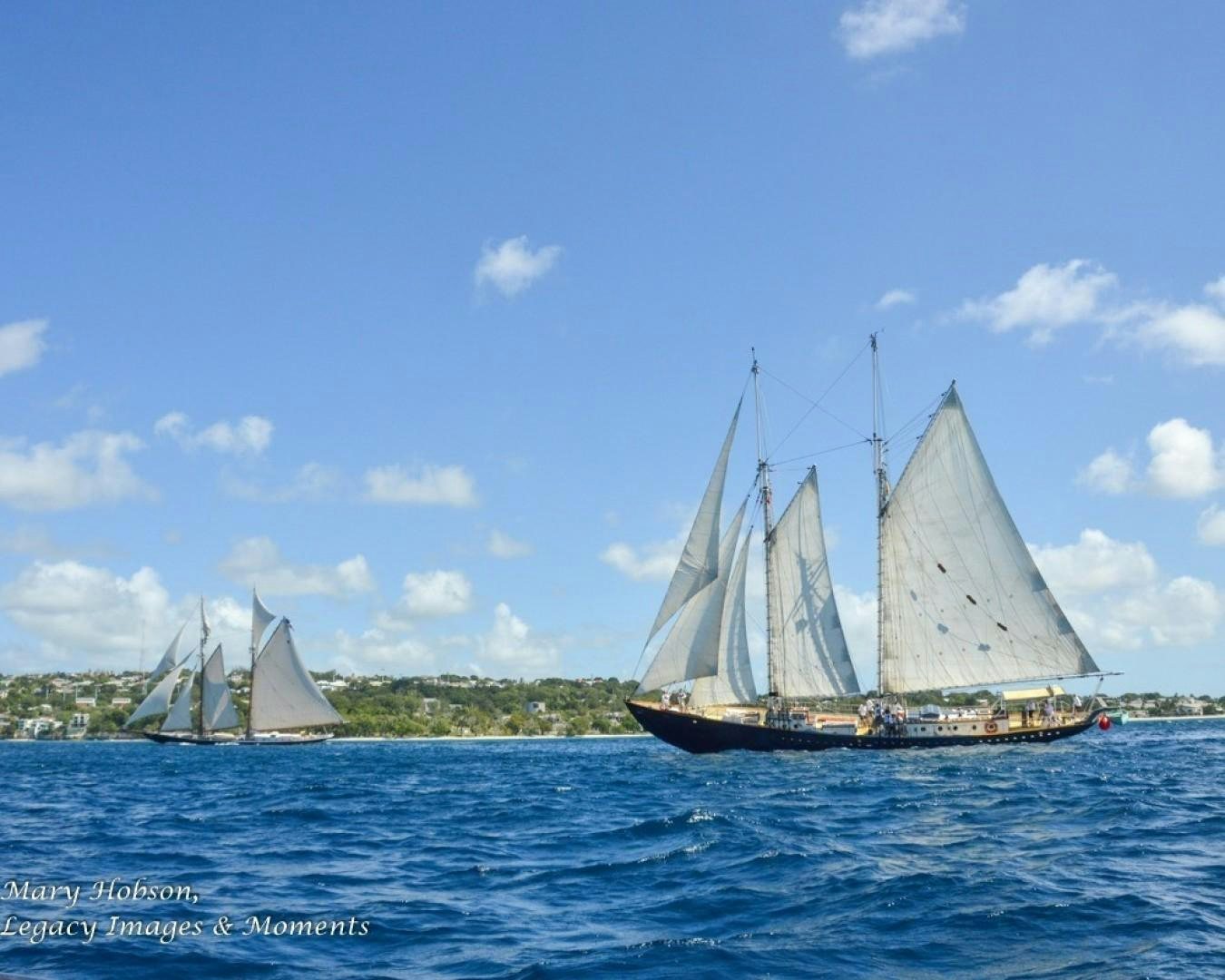 a group of sailboats on the water aboard SCHOONER RUTH Yacht for Sale