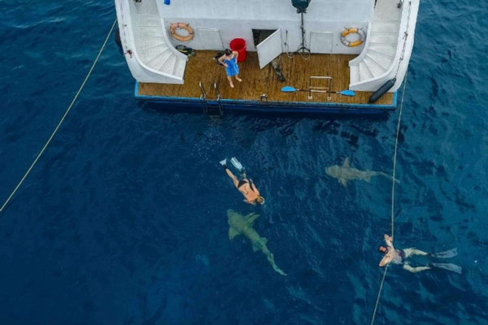 a person standing on a boat in the water aboard KEANA Yacht for Sale