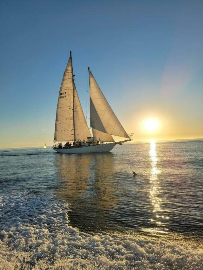 a sailboat on the water aboard CURLEW Yacht for Sale