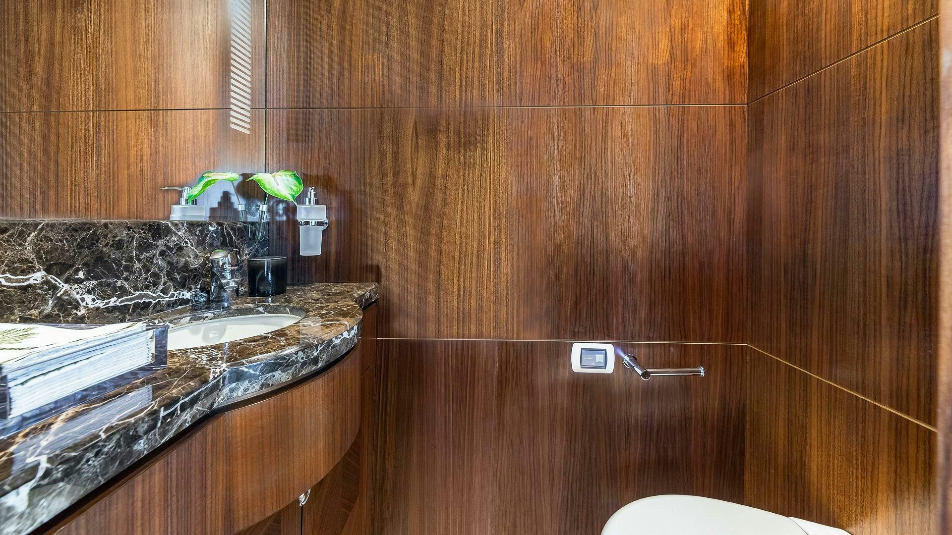 a bathroom with a sink and a plant on the counter aboard NOW WE KNOW Yacht for Sale