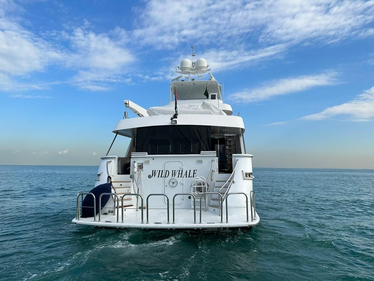 a boat in the water aboard WILDE WHALE Yacht for Sale