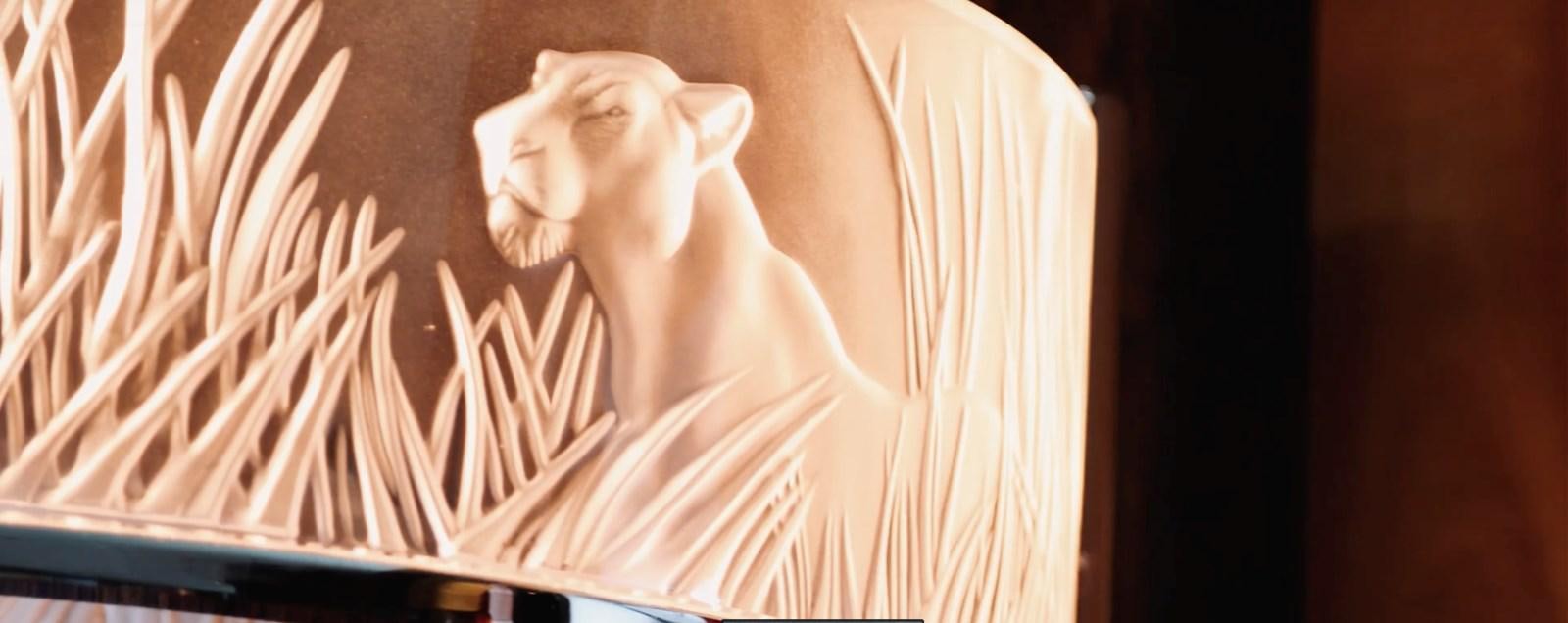 a person with a white shirt aboard CHASING SPIRIT Yacht for Sale