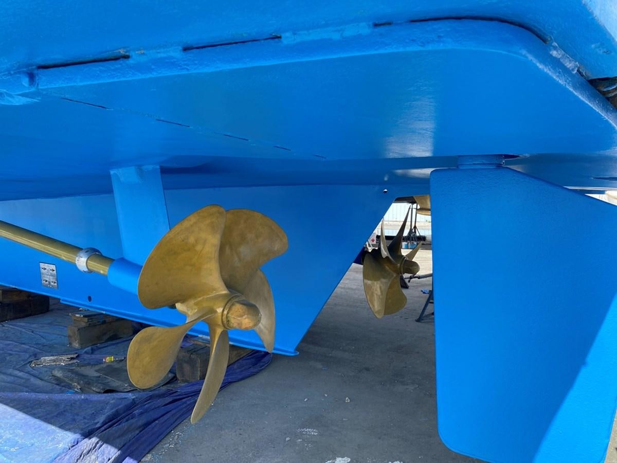 a sea turtle under a boat aboard THANKS BUDS Yacht for Sale